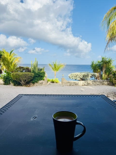 Ocean view from The Blou Collection